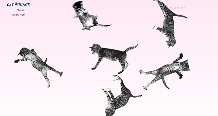 © cat-bounce.com